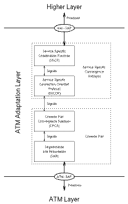 The S-AAL Organisation